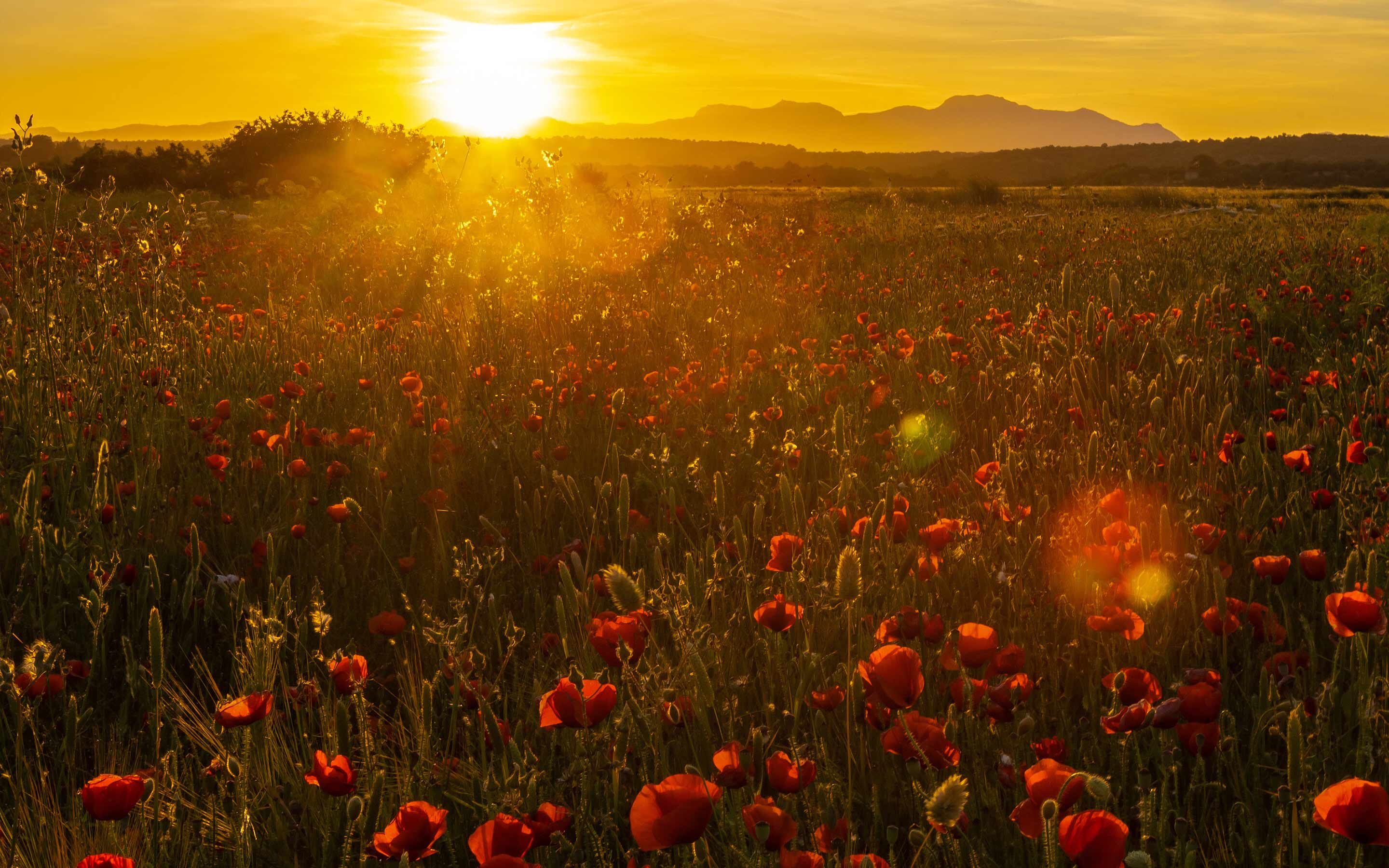 Summer-Meadow-Haberdashery-Slideshow-2