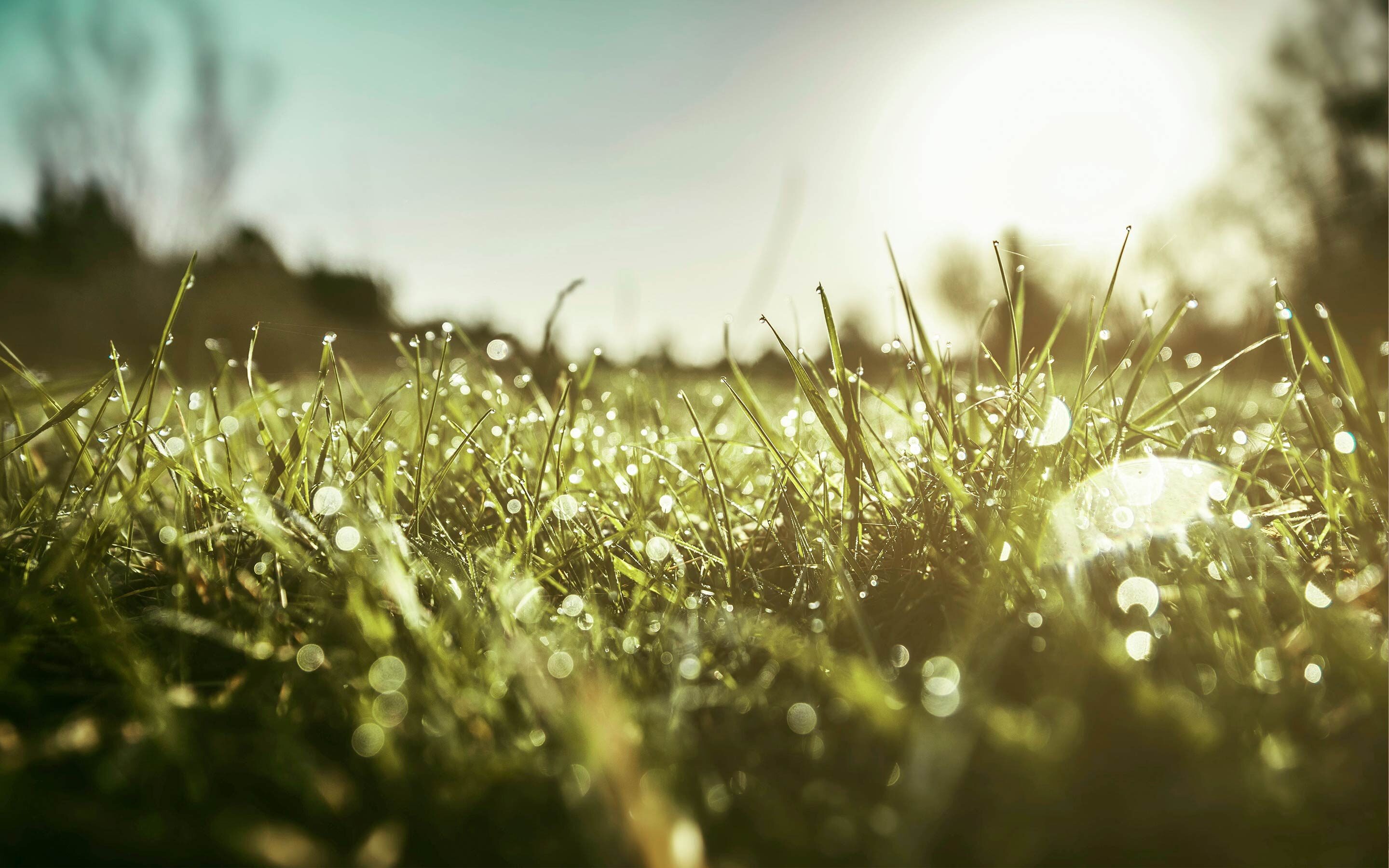 Summer-Meadow-Haberdashery-Slideshow