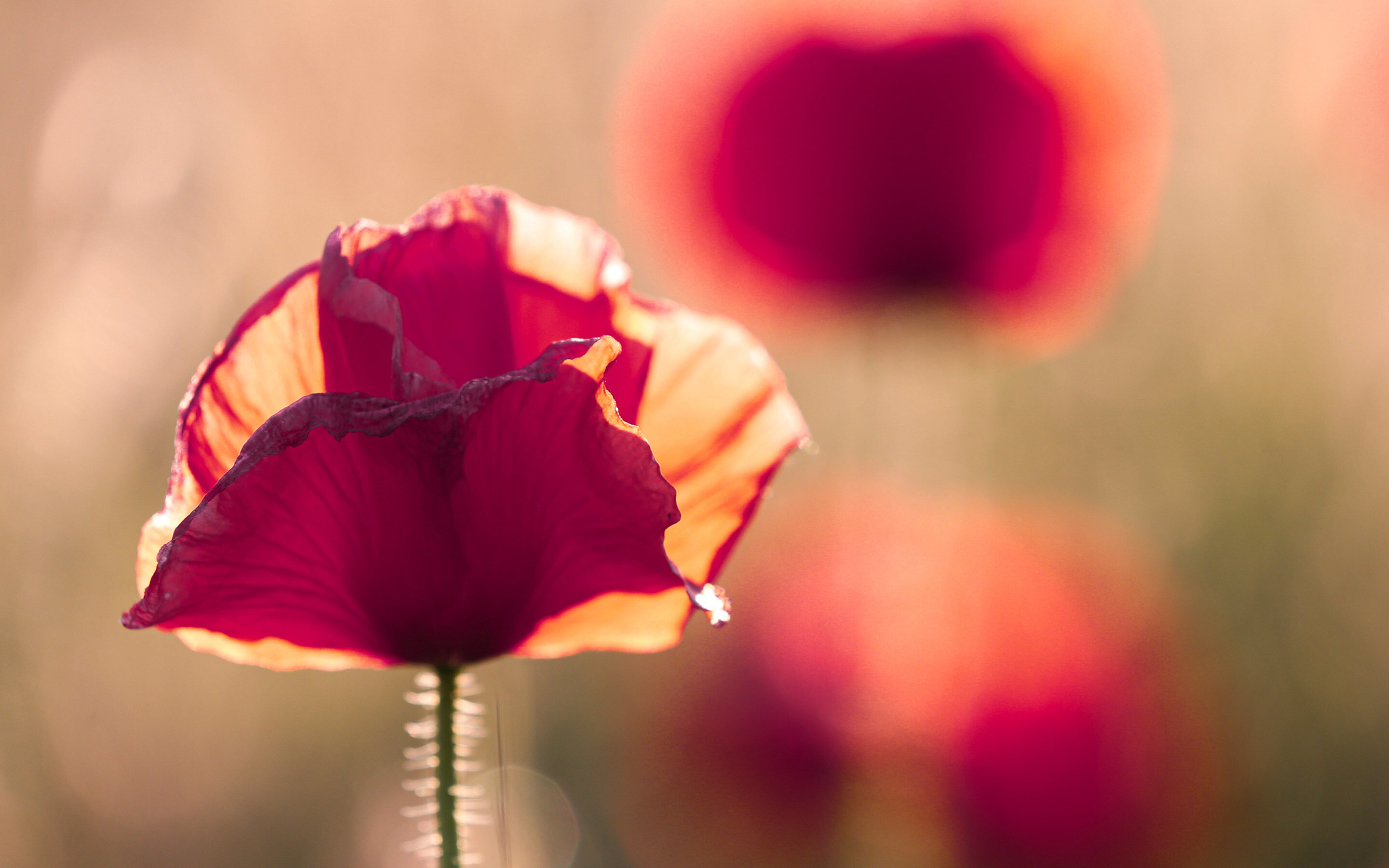 Summer-Meadow-Haberdashery-Slideshow-4